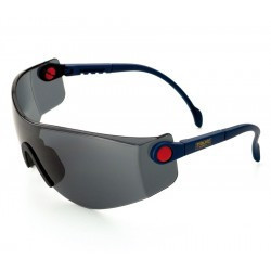 Pack Gafas de Seguridad Panorámica Gris